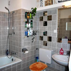 ハノーファーにあるMesse Zimmer in geteilter Wohnungのバスルーム(シャワー、洗面台、トイレ付)