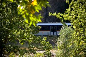 Vonkajšia záhrada v ubytovaní Guesthouse Eleftherios