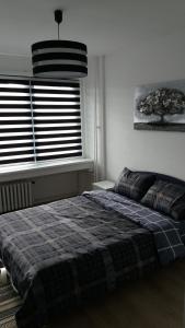 a bedroom with a bed in front of a window at WHITE CITY 2 in Belgrade