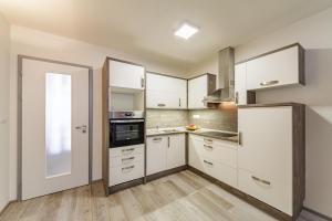 Kuchyň nebo kuchyňský kout v ubytování Downtown Royal Apartments