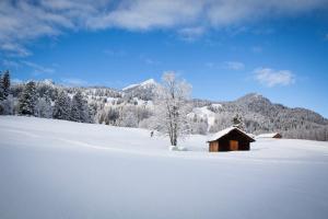 Rufana Lodge durante l'inverno