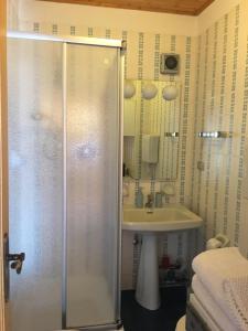 ein Bad mit einer Dusche und einem Waschbecken in der Unterkunft Appartamento Klobenstein in Klobenstein
