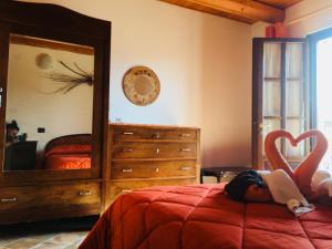a bedroom with a bed and a large mirror at Bricco Del Gallo in Sinio
