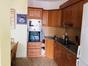 Kuchyň nebo kuchyňský kout v ubytování Apartman Jarosova
