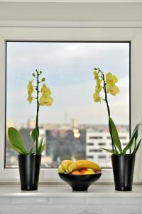 Fotografie z fotogalerie ubytování Apartment myhome Zagreb v Záhřebu