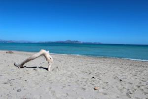 Táj Show holiday homes közelében