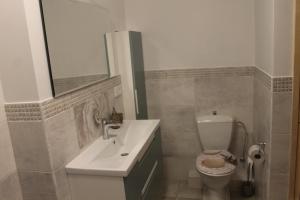 a bathroom with a white sink and a toilet at Apartamentai Pluke - Biliūno in Palanga