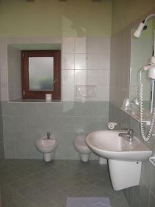 La salle de bains est pourvue d'un lavabo, de toilettes et d'un miroir. dans l'établissement Antica Osteria Pace, à Moerna