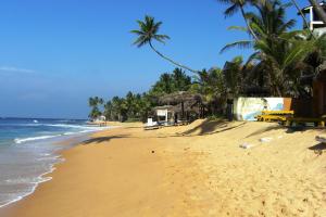 a sandy beach with palm trees and the ocean at Mary's Palm Garden in Hikkaduwa