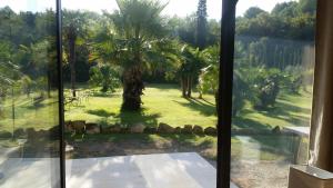 a view of a palm tree from a window at Provence in Carpentras