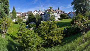 a group of houses on a green lawn at Hotel Landhaus Säntis Herisau in Herisau