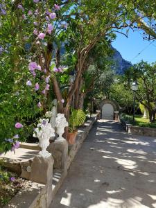 Foto dalla galleria di Casa Gaia a Capri