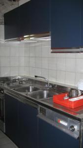 a kitchen with a stainless steel sink and blue cabinets at Villa Bellavista in Sestola