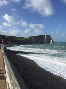 a beach with black sand and the ocean and a cliff at Hotel Des Falaises in Étretat