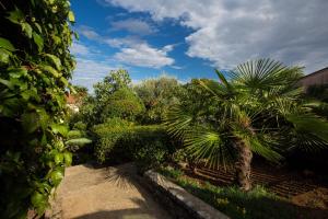 Vonkajšia záhrada v ubytovaní Holiday House Natasa