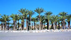 トレモリノスにあるChalet Biarritzの青空の浜辺のヤシ並木