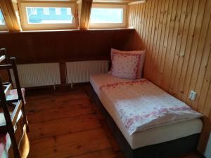 Mały pokój z łóżkiem i poduszką w obiekcie Apartmán 141 w mieście Chřibská