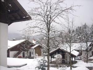 a tree covered in snow in front of a house at Am Waldeck 10 App. 1002 in Freudensee