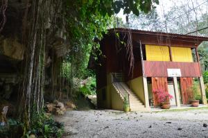 
an old building with a bench and a tree at Country house Pulai Holiday Village in Gua Musang

