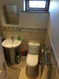 Ένα μπάνιο στο Crud yr Awel Apartment +19 φωτογραφίες
