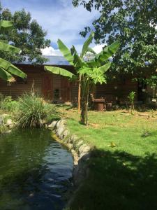 a pond in a yard next to a house at Terreza's Place in Panglao Island