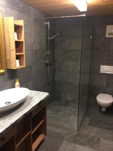 ein Bad mit einer Dusche, einem Waschbecken und einem WC in der Unterkunft Appartement Rossalm mit Sauna in Alpbach