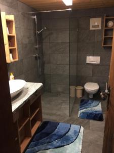 a bathroom with a shower and a sink and a toilet at Appartement Rossalm mit Sauna in Alpbach