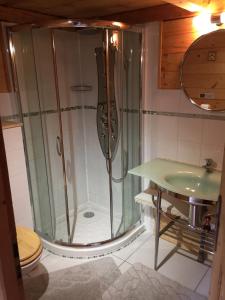 a shower in a bathroom with a toilet and a sink at Chalet Fleur des Neiges in Saint-Jean-d'Aulps