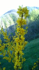 Piazza al SerchioにあるLa casa del girasoleのギャラリーの写真