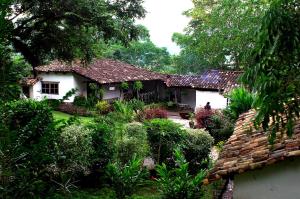Zahrada ubytování Hotel Hacienda San Lucas