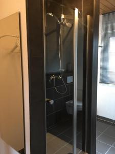 a bathroom with a shower and a toilet at KRIO Nicola Rothfuchs Ferienwohnung 1 in Idar-Oberstein