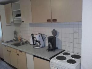 ウムハウゼンにあるFerienwohnung Frischmannのキッチン(シンク、カウンタートップ付)