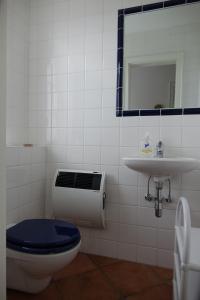 ノルトシュトラントにあるReetdachhaus Deichkroneのバスルーム(トイレ、洗面台、鏡付)