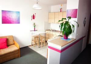 cocina y sala de estar con una maceta en un mostrador en Apartamenty Lila, en Cracovia