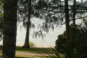 a view of the beach through a group of trees at Beachside Holiday Units in Bowen