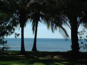 a view of the ocean from between two palm trees at Beachside Holiday Units in Bowen