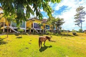 a horse standing in a field in front of a house at Phi Phi Chang Grand Resort in Phi Phi Don
