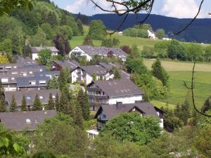 a village in the mountains with houses and trees at Wietheger´s Ferienwohnungen Gästehaus Strycktal II in Willingen