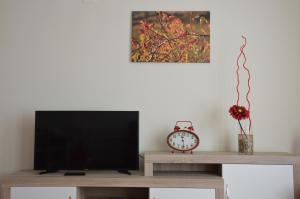 TV a/nebo společenská místnost v ubytování Vivienda Salvia