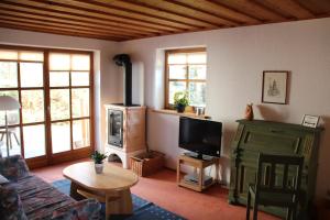 sala de estar con sofá, TV y chimenea en Ferienwohnung Weinberger, en Regen