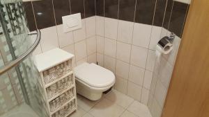 un piccolo bagno con wc e doccia di Apartma Manca a Kranjska Gora Altre 35 foto