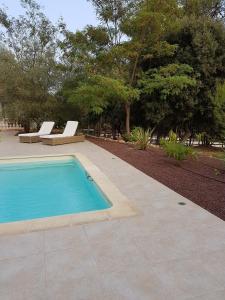 - une piscine avec 2 chaises longues et des arbres dans l'établissement Séjour Pic Saint Loup, à Saint-Mathieu-de-Tréviers