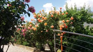 Giardino di Gletscherblick