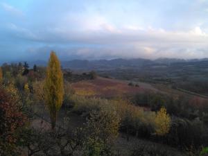 GabianoにあるI Quattro Gattiの木々や山々の丘の景色