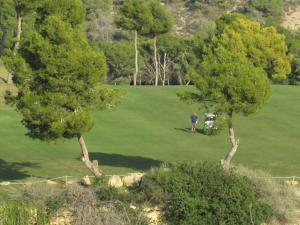 Golf pri apartmáne alebo okolí