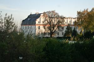 een groot wit gebouw met een boom ervoor bij Apartament Sandomierskie Wzgórze in Sandomierz