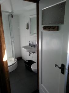 a bathroom with a toilet and a sink at B & B De Pimpelmees in 's-Gravenmoer