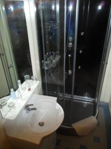 ein Badezimmer mit Dusche und weißem Waschbecken in der Unterkunft Les Hautes Loignieres in Pré-en-Pail