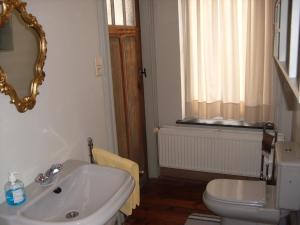 a bathroom with a sink and a toilet and a mirror at Guesthouse Oude Houtmarkt in Ypres