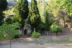 A garden outside Cal Triquell